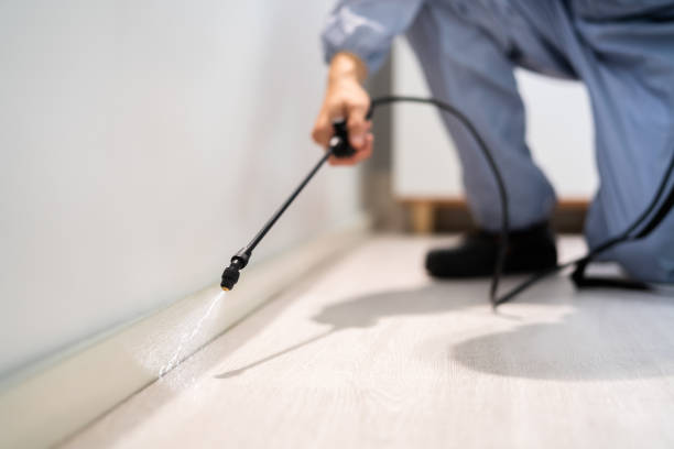 Licensed Termite Control service in Waynesboro, VA - Nex Pest Control