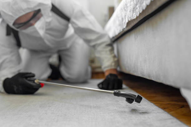 Professional Termite Control technician working in Waynesboro, VA