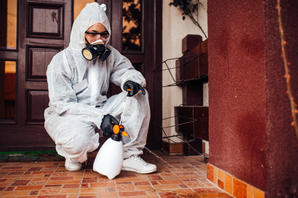 Reliable Termite Control contractor in Waynesboro, VA by Nex Pest Control