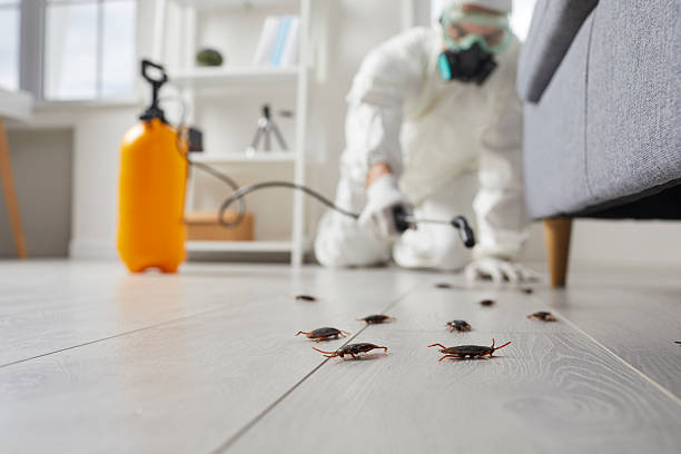 Trusted Fumigation Services service in Waynesboro, VA - Nex Pest Control